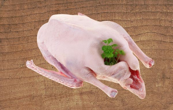 Bauern-Gans aus Freilandhaltung