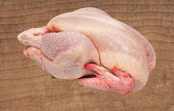 Suppenhuhn